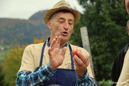 Prikaz starih kmečkih opravil na Gori sv. Miklavž (6)